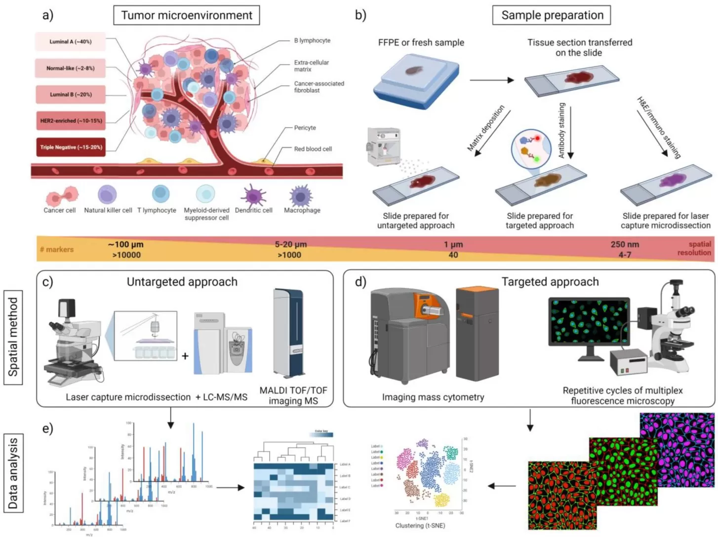 Overview of spatial proteomics approaches in breast cancer.